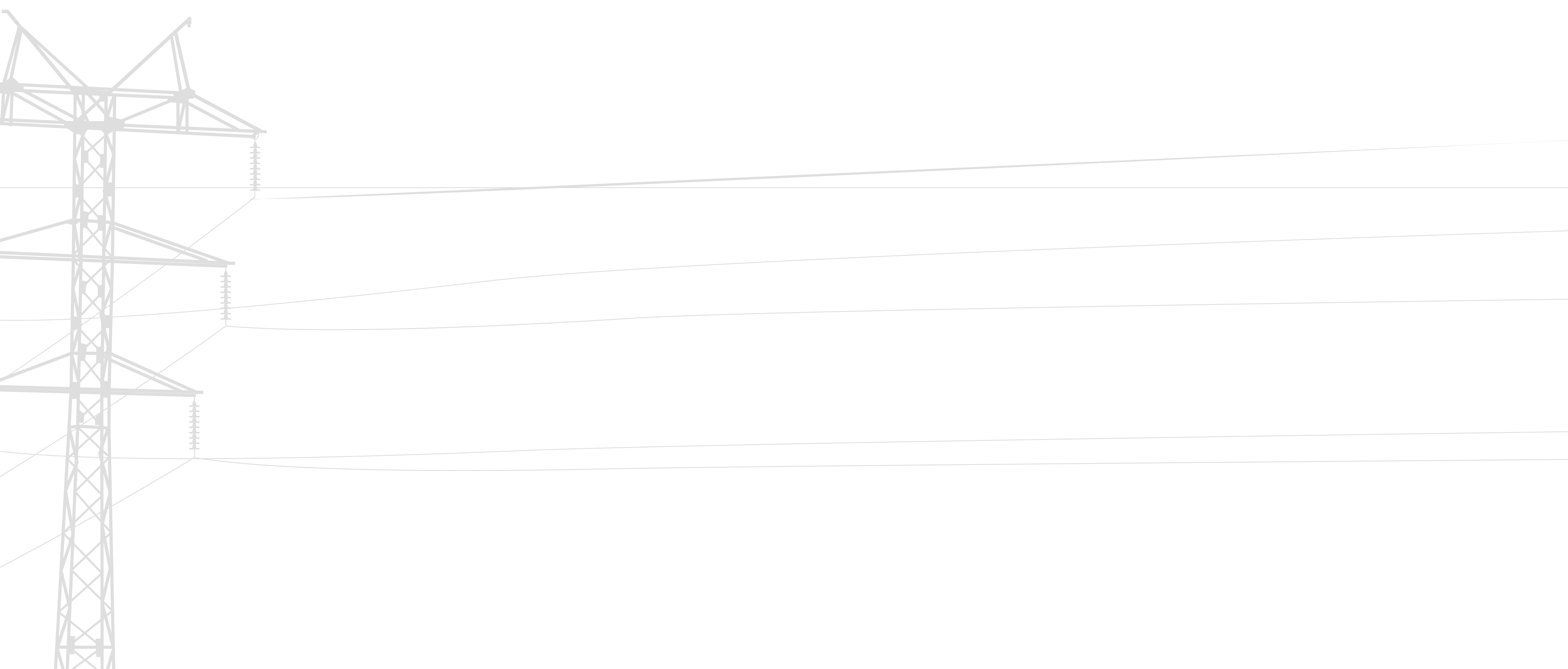 Bottom Left Decoration